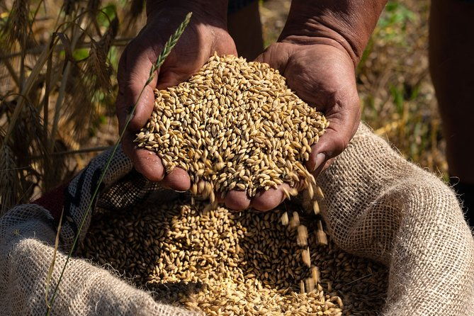 1-hour-of-whisky-distillery-experience