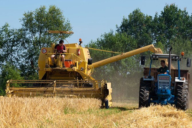 1-hour-of-whisky-distillery-experience