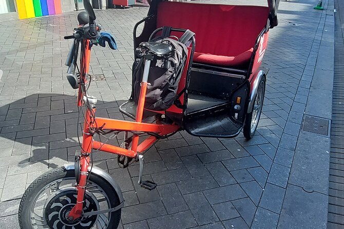 1-hour-private-amsterdam-rickshaw-tour