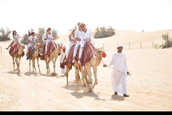 1 hour Private Camel Ride in Deep Desert - Key Points