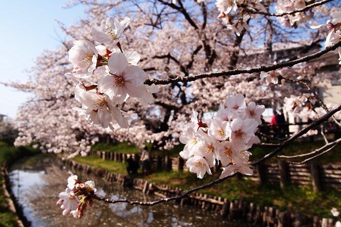 1-hour-private-photoshoot-in-matsumoto-nagano