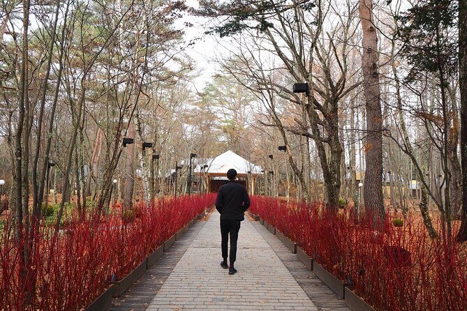 1-hour-private-photoshoot-in-matsumoto-nagano
