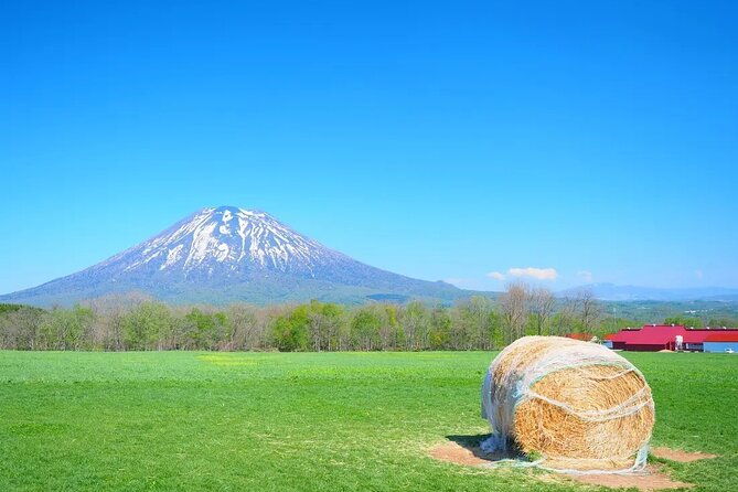 1-hour-private-photoshoot-in-niseko