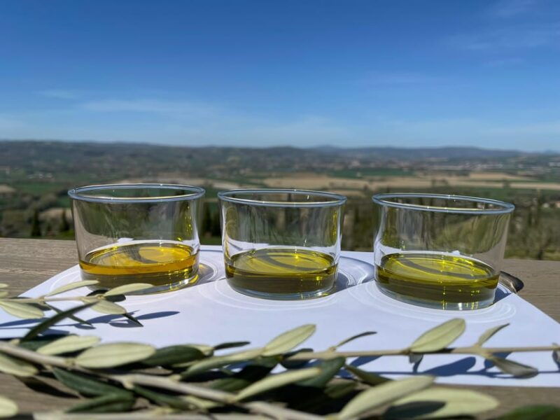 1-hour-private-tour-of-the-oil-mill-with-tasting