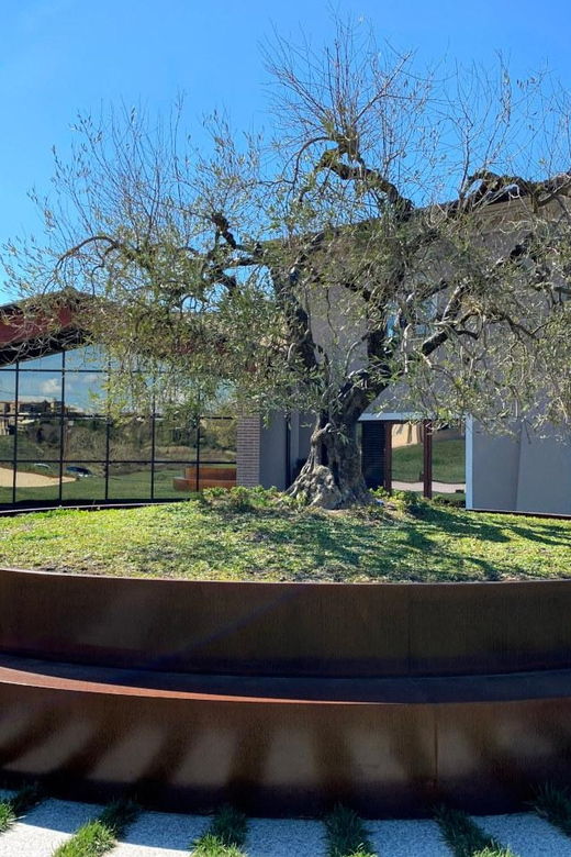 1-hour-private-tour-of-the-oil-mill-with-tasting