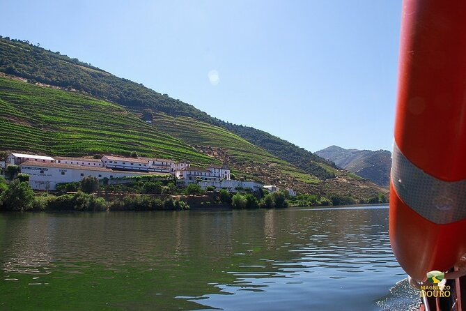 1-hour-rabelo-boat-trip-in-pinhao-2