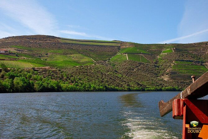 1-hour-rabelo-boat-trip-in-pinhao