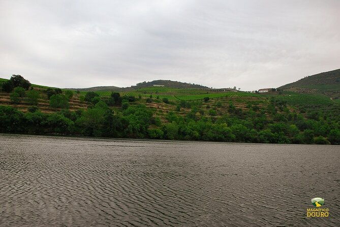 1-hour-rabelo-boat-trip-in-pinhao