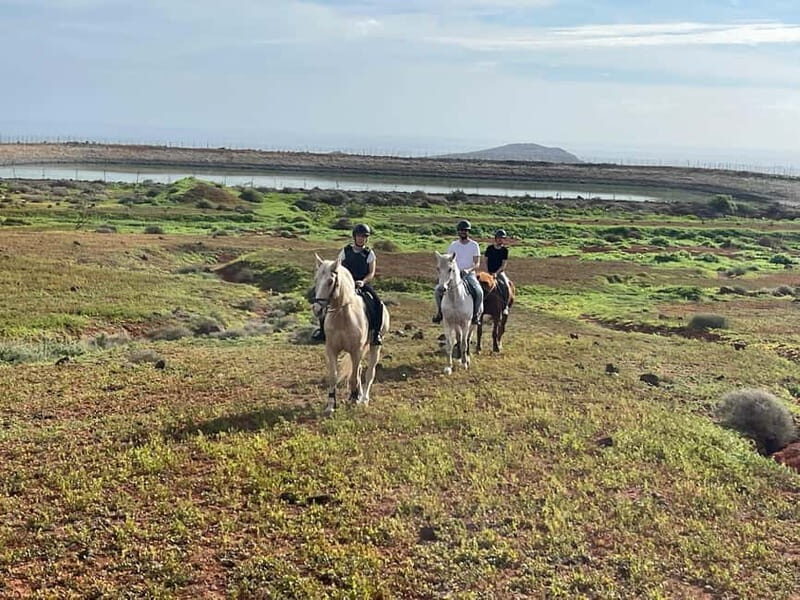 1 hour relaxing horse riding tour in Gran Canaria - What to Expect from the Gran Canaria Horse Riding Tour