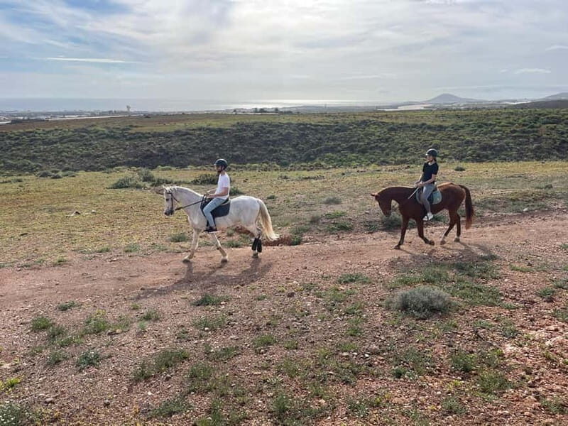 1 hour relaxing horse riding tour in Gran Canaria - The Experience and Group Dynamics