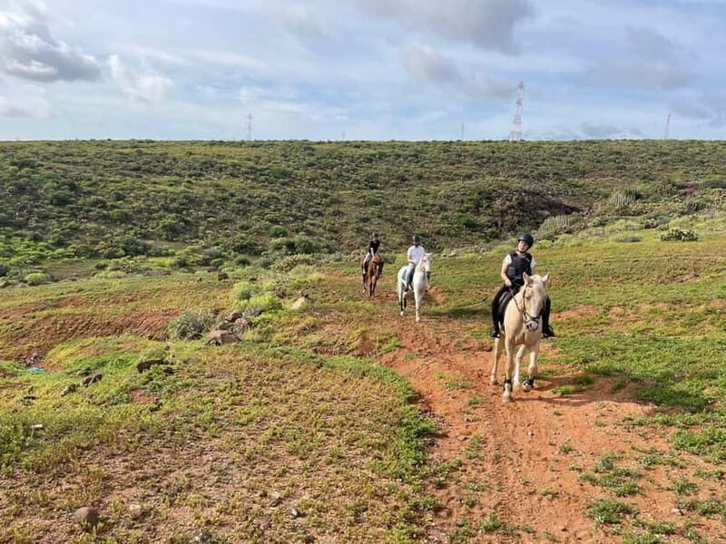 1 hour relaxing horse riding tour in Gran Canaria - Practical Tips for Participants