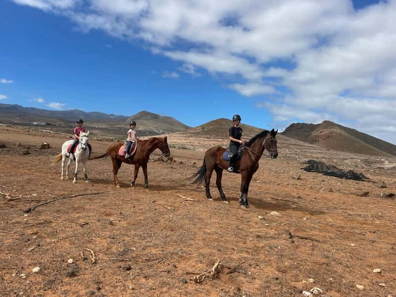 1 hour relaxing horse riding tour in Gran Canaria - Who Will Love This Tour?