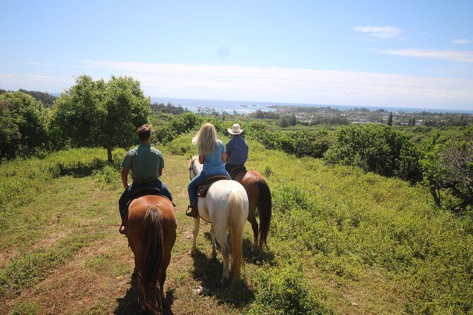 1 Hour Scenic Horseback Ride - An In-Depth Look at the 1 Hour Scenic Horseback Ride