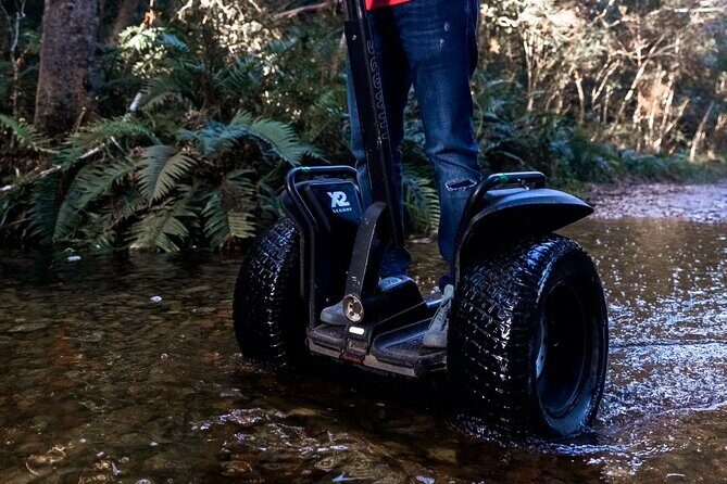 1 Hour Segway Experience - Key Points