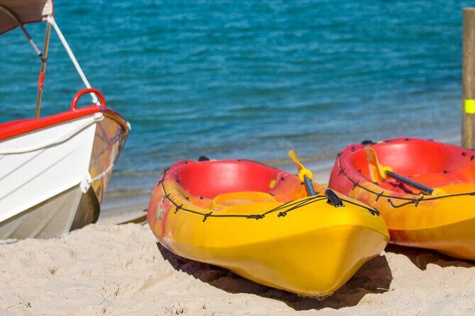 1 Hour Single or Double Kayak Rental to the Nth Bribie Island - Practical Details and Tips for Your Trip