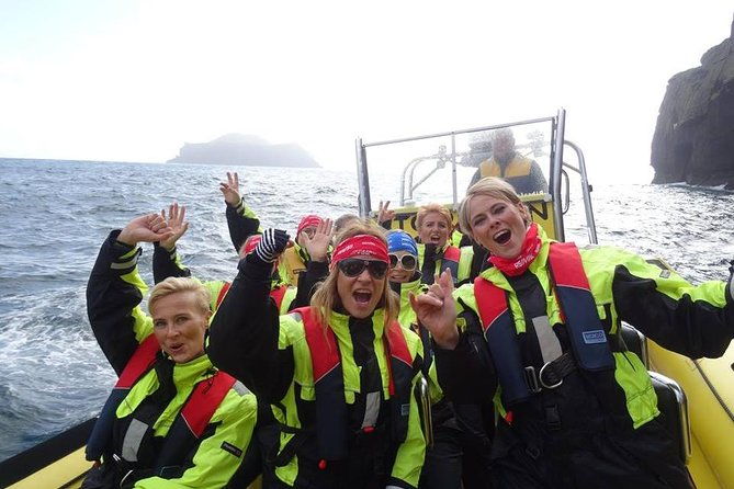 1-hour-small-group-sightseeing-boat-tour-in-vestmannaeyjar