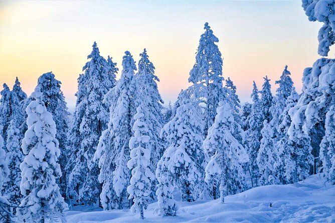 1-hour-snowmobile-safari-adventure-in-rovaniemi-4