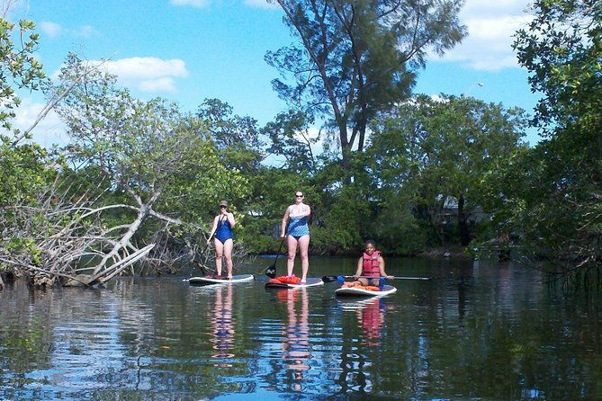 1-hour-stand-up-paddle-board-lesson-for-beginners-with-1-on-1-instructor-guide-2