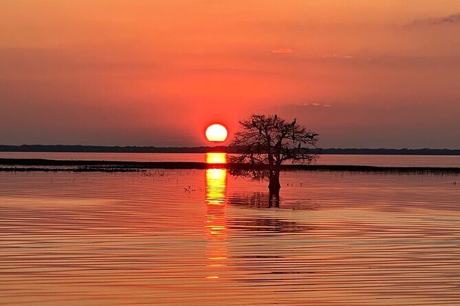 1-Hour Sunset Airboat Ride near Orlando - The Pros and Cons: A Quick Snapshot