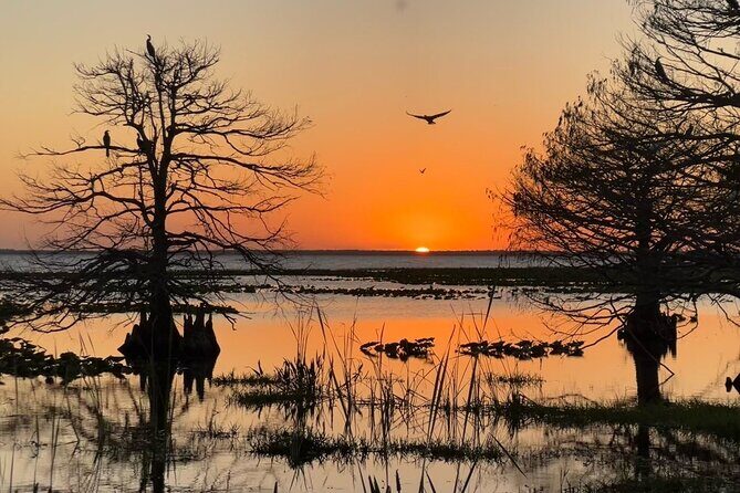 1-Hour Sunset Airboat Ride near Orlando - Who Should Consider This Experience?