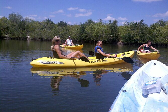 1-hour-tandem-kayak-rental-with-manatee-dolphin-sightings