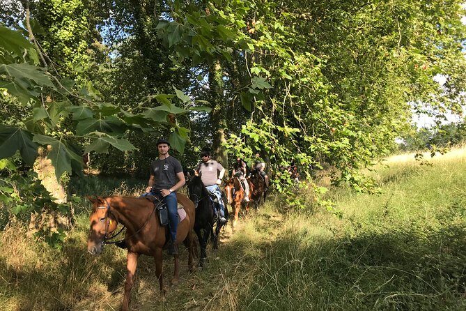 1-hour tourist walk with guide - Key Points