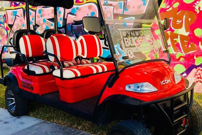 1 Hour WYNWOOD BUGGIES tour - Who Should Consider This Tour?