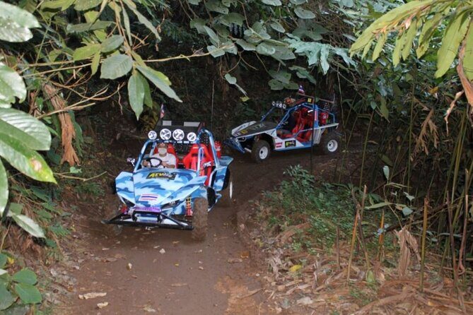 1 Hr Chiang Mai Buggy Tour (Off-Road) - Who Will Enjoy This Tour?