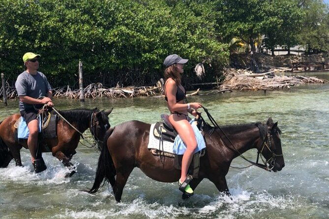 1-hr-horseback-riding-sloths-island-tour-beach-break