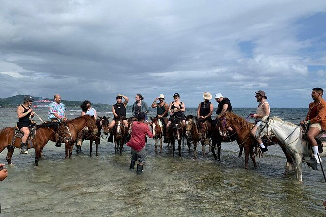1-hr-horseback-riding-sloths-island-tour-beach-break