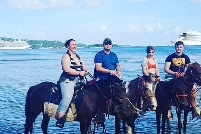 1-hr-horseback-riding-sloths-island-tour-beach-break