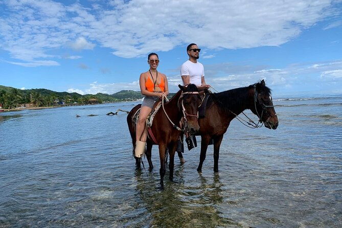 1-hr-horseback-riding-sloths-island-tour-beach-break