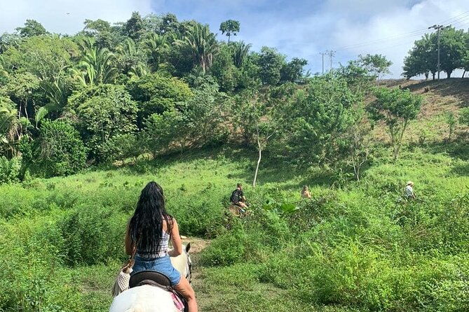 1-hr-horseback-riding-sloths-island-tour-beach-break
