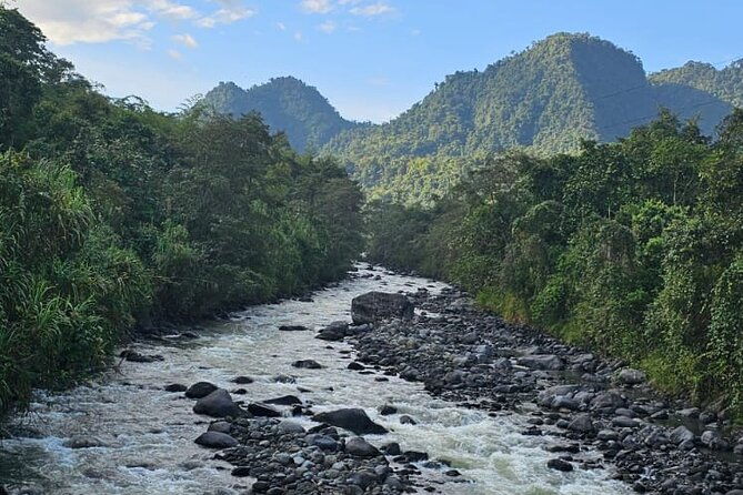 1-night-1-day-in-the-birdwatching-capital-of-ecuador-photo-tour