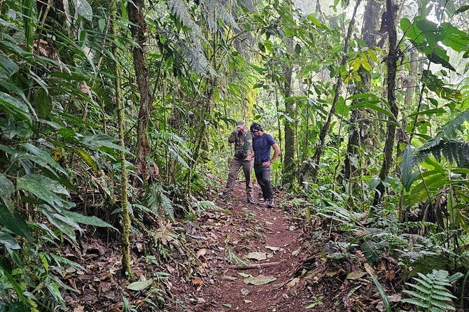 1-night-1-day-in-the-birdwatching-capital-of-ecuador-photo-tour