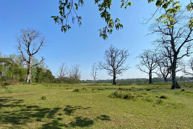 1 Night 2 Days Chitwan Jungle Safari Tour from Pokhara - What to Expect from the Chitwan Jungle Safari Tour