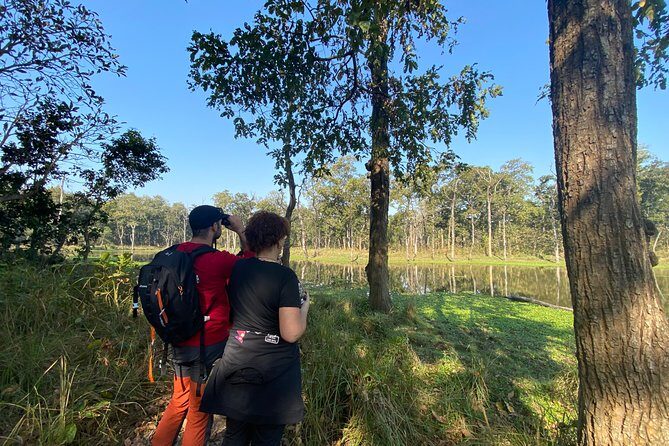 1 Night 2 Days Chitwan Jungle Safari Tour from Pokhara or Kathmandu - Final Thoughts: Is This Tour Worth It?