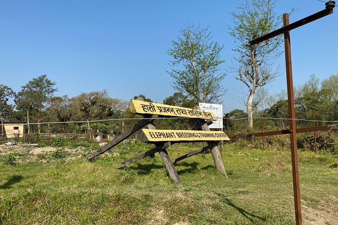 1 Night 2 Days Chitwan Safari Tour - Key Points