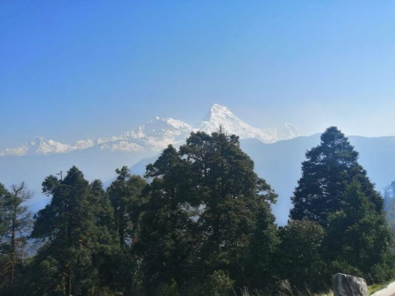 1-night-2-days-poon-hill-trek-from-pokhara