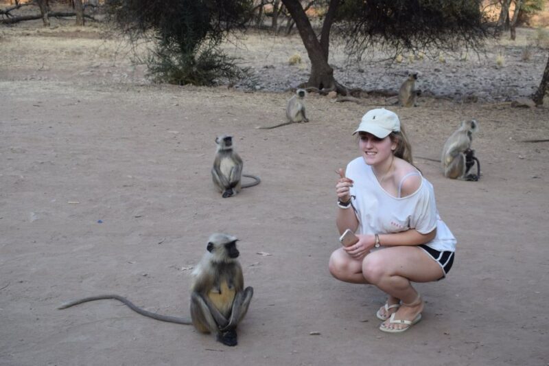 1 Night 2 Days Ranthambhore WildLife Tour From Jaipur - Wildlife Encounters and Diverse Fauna