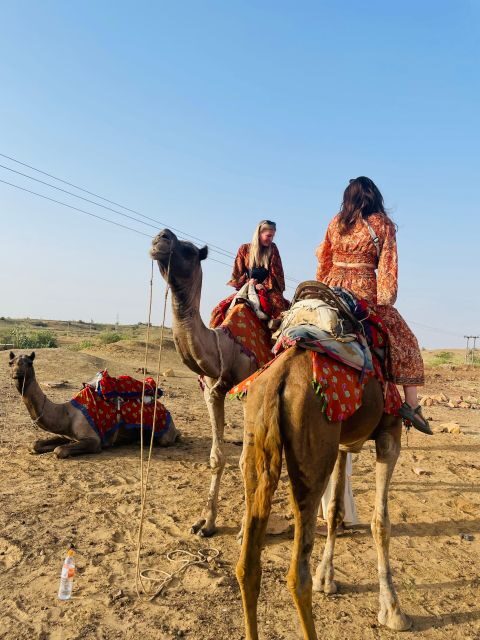 1 night 2 days Thar Desert Experience Jaisalmer - Why This Tour Offers Great Value