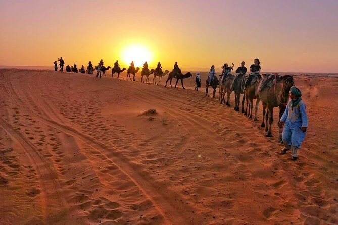 1 Night All inclusive Camel Ride & Desert Camp - Who Is This Tour Best For?