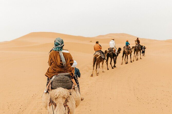 1 night Camel trek in Merzouga Desert Luxury Camp NO EXTRA - Sunset Camel Trek and Dunes Views
