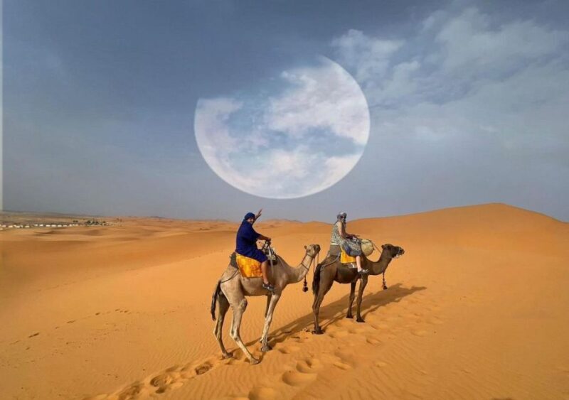 1 night Camel Trek in Merzouga Desert - What to Expect from the Sahara Overnight Camel Trek