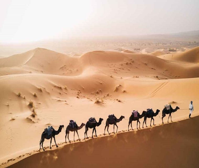 1 night Camel Trek in Merzouga Desert - Practical Tips for Travelers