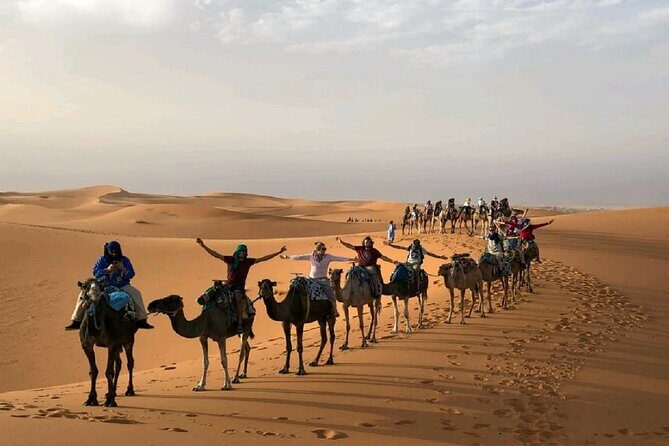 1 night Camel Treking in Merzouga Desert Luxury Camp - The Next Morning: Sunrise and Return