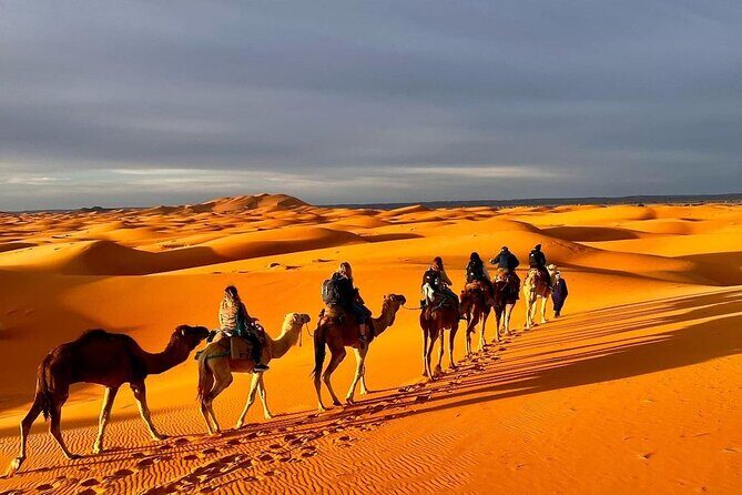 1 Night Camel Trekking in Merzouga - Frequently Asked Questions