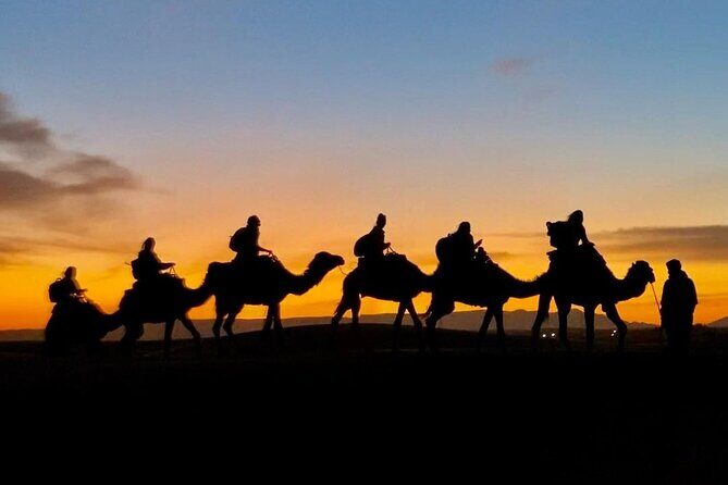 1 Night Camel Trekking in Merzouga - Final Thoughts