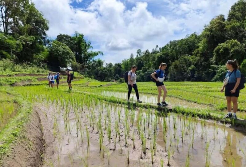 1-Night Chiang Mai Mountain Mind Retreat - Introduction