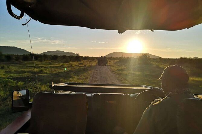 1 Night Madikwe Game Reserve - Practical Tips to Consider